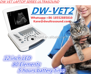 DW-VET2 B/W Instrumen Mesin <span class=keywords><strong>Ultrasound</strong></span> Dokter Hewan Portabel, - Product Image 3