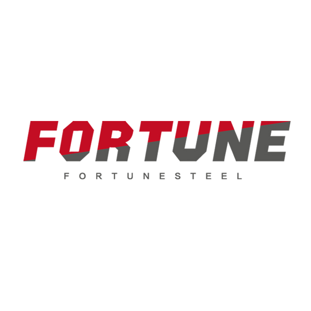 Taian Fortune Steel Co., Ltd. logo
