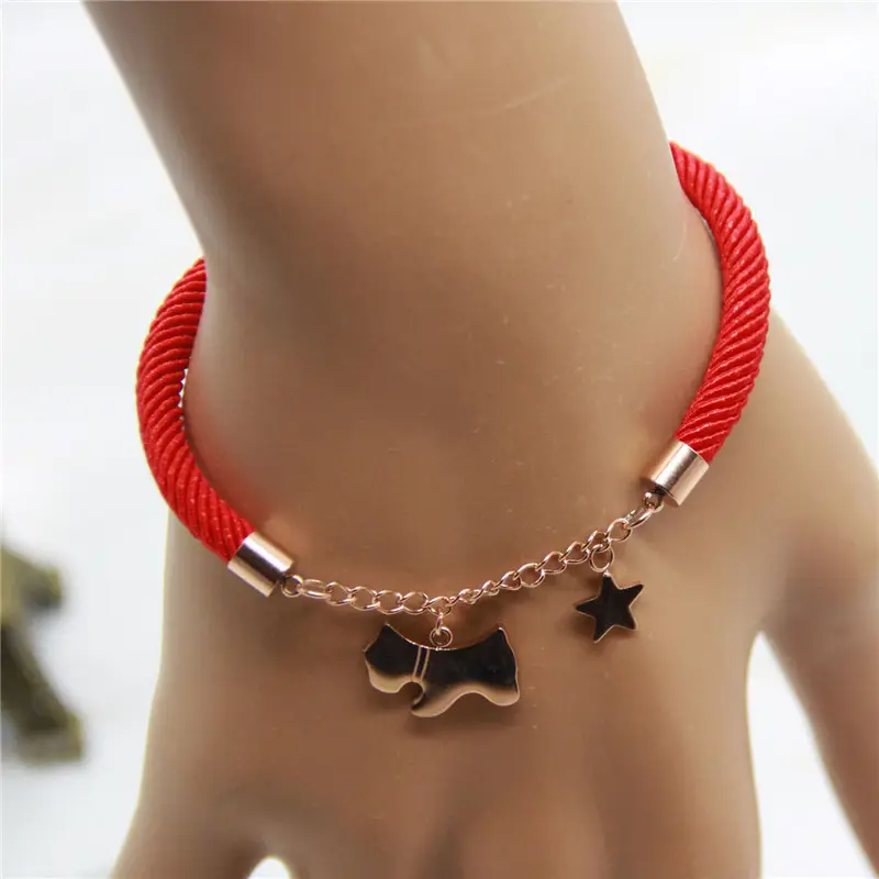 Gouden Sieraden Roestvrij Staal Lederen Armband Rood Touw Ster Hond Mode