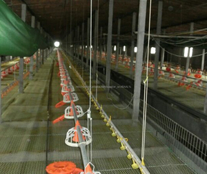 Polluelos automático maquinaria agrícola <span class=keywords><strong>de</strong></span> pollos <span class=keywords><strong>de</strong></span> engorde aves <span class=keywords><strong>de</strong></span> corral pan sistema <span class=keywords><strong>de</strong></span> alimentación - Product Image 2