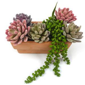 V-3205 Fiori di Loto in Plastica Floccata Vendita Calda <span class=keywords><strong>Piante</strong></span> <span class=keywords><strong>Artificiali</strong></span> Succulente in Set - Product Image 1