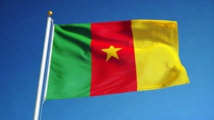 Al por mayor 3 * 5FT poliéster seda impresión colgante Camerún Bandera Nacional - Product Image 2