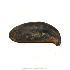 Naturais e secos todo preto xylaria nigripes klotzsch cooke sclerotium para ervas - Product Image 4