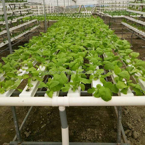 Casera sistema hidropónico de cultivo hidropónico de - Product Image 2