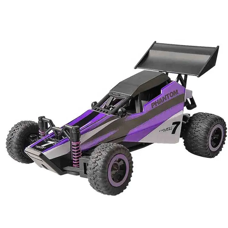 1:32 Full Scale 2WD Mini RC Buggy Outdoor 2.4Ghz Radio Control Car 20kph