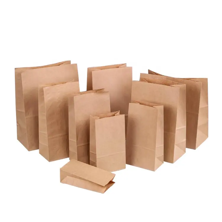 100% Compostable Recycled Durable Brown Kraft Paper Lunch Bags for Snack Take away Bread Packaging