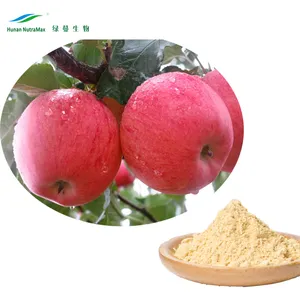 Natural Extract 40%-98% Phlorizin, 50%-80% Polyphenols, Phloretin 70%-98% Pure Apple Extract