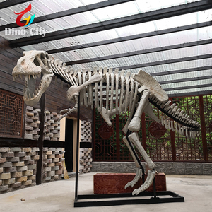 พิพิธภัณฑ์มาตรฐานสมจริงโครงกระดูกไดโนเสาร์ fossil replica อื่นๆไดโนเสาร์ Fossil Replica - Product Image 4