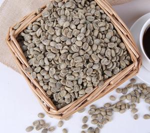 자연 말린 원시 커피 콩 처리되지 않은 Coffea <span class=keywords><strong>arabica</strong></span> 씨앗 판매 - Product Image 3