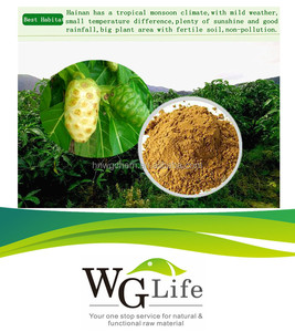 Hainan Enzima Noni En Polvo (100:1) de <span class=keywords><strong>la</strong></span> salud suplemento para ajustar el sistema digestivo - Product Image 1