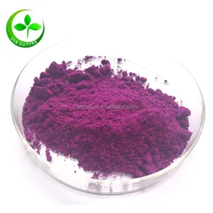 Poudre de jus pitaya biologique, vente en gros, nom privé, usine