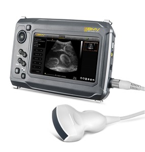 Draagbare Veterinaire <span class=keywords><strong>Ultrasound</strong></span> <span class=keywords><strong>Machine</strong></span> Voor Verkoop Bestscan <span class=keywords><strong>S6</strong></span> Bmv Runderen Echografie Veterinaire Handscan V8 Ecografo Bovino - Product Image 3