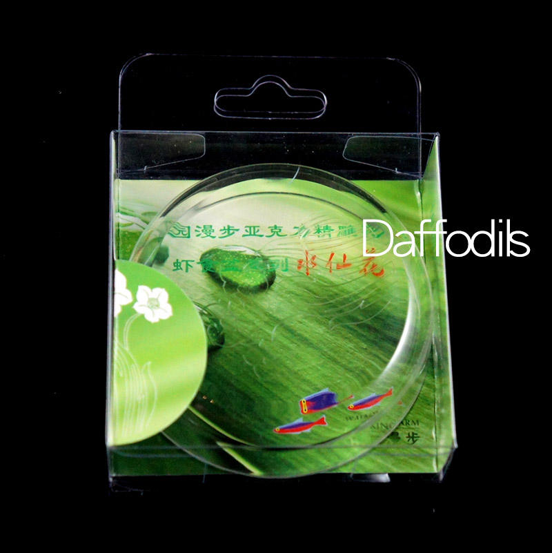 แดฟโฟดิล