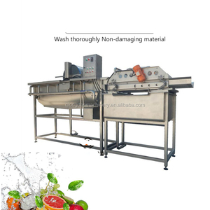 <span class=keywords><strong>Lavadora</strong></span> Industrial de Burbujas para Kiwis, Piñas y Calabazas - Product Image 2