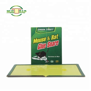 Produits les plus vendus de Mustrap : Piège à colle <span class=keywords><strong>pour</strong></span> rats <span class=keywords><strong>et</strong></span> <span class=keywords><strong>souris</strong></span>, efficace <span class=keywords><strong>et</strong></span> humain, <span class=keywords><strong>pour</strong></span> le printemps, <span class=keywords><strong>meilleur</strong></span> appât - Product Image 3