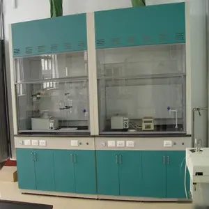 Tùy Chỉnh Hóa Chất Phòng Thí Nghiệm Fume Hood Nhà Sản Xuất