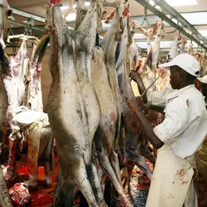 Automated Donkey Meat Processing Equipment For Slaughter Line