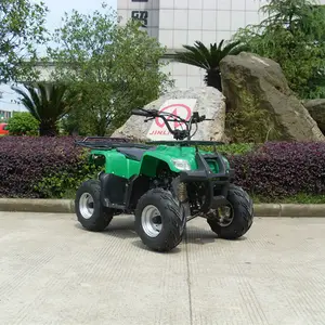 Jinling ATV, хорошее качество 110cc мини джипы для детей