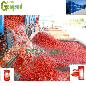 Factory direct sale concentrate tomato paste production line new original