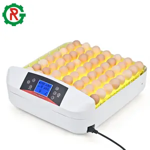 Mini incubadora de huevos de 12 voltios 100 incubadora de huevos de pollo