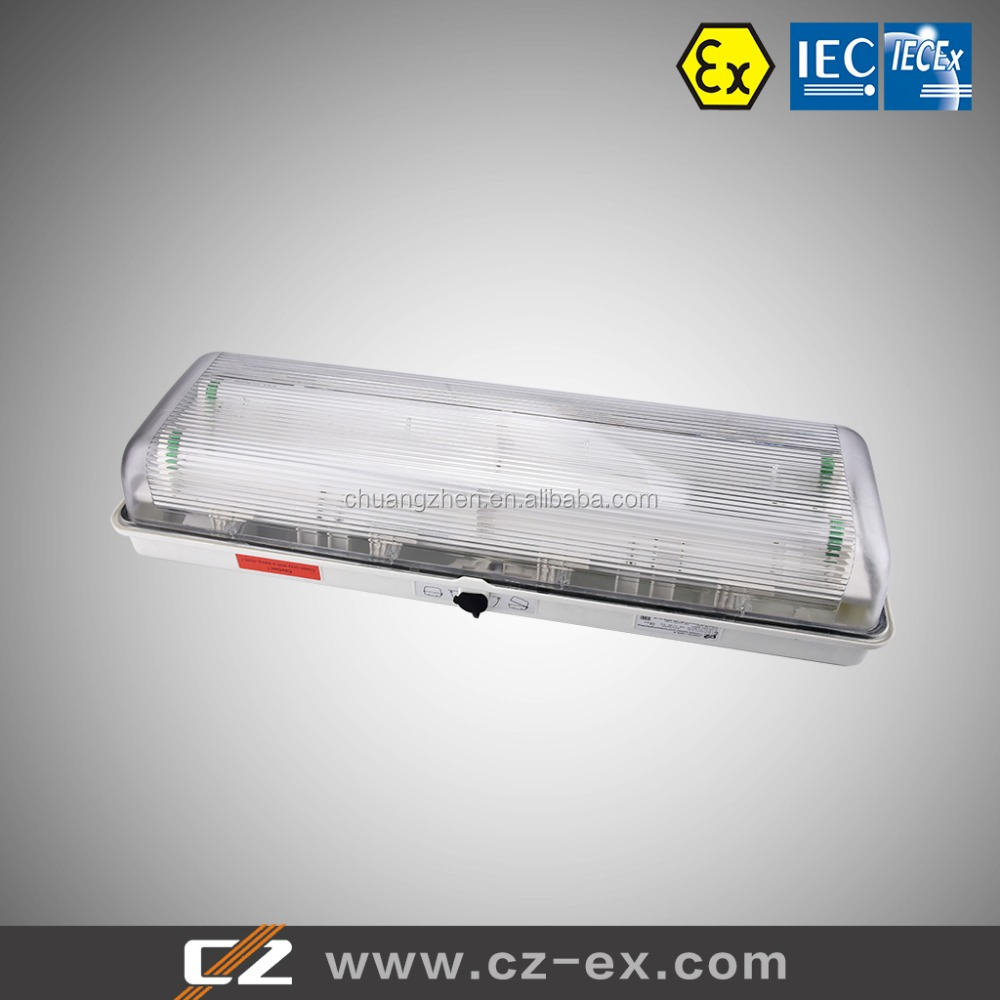 Full Plastic Explosion-Proof Fluorescent Light Fitting 110V-240V | CZ Electric Co., Ltd.