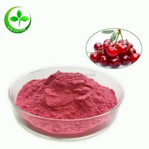 Top quality sour cherry juice concentrate powder, cherry powder