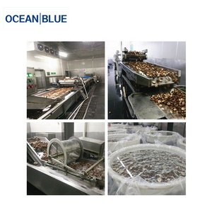 Thiết Bị Đóng Băng Nhanh Chóng Rau Quả IQF <span class=keywords><strong>Tunnel</strong></span> Freezer Thiết Bị - Product Image 6