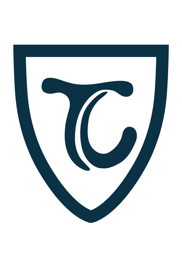 Guangzhou City Tiancheng Leather Co., Ltd. logo