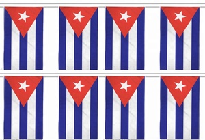 3*5 pies <span class=keywords><strong>de</strong></span> poliéster serigrafía <span class=keywords><strong>Cuba</strong></span> bandera <span class=keywords><strong>nacional</strong></span> bandera - Product Image 6