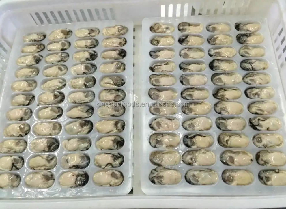 Frozen oyster meat top quality lived oyster whole sale price