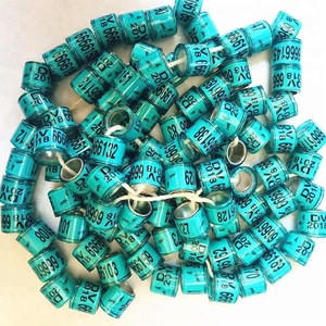 ญี่ปุ่นพิกษัตริย์แหวน2019 - Product Image 3