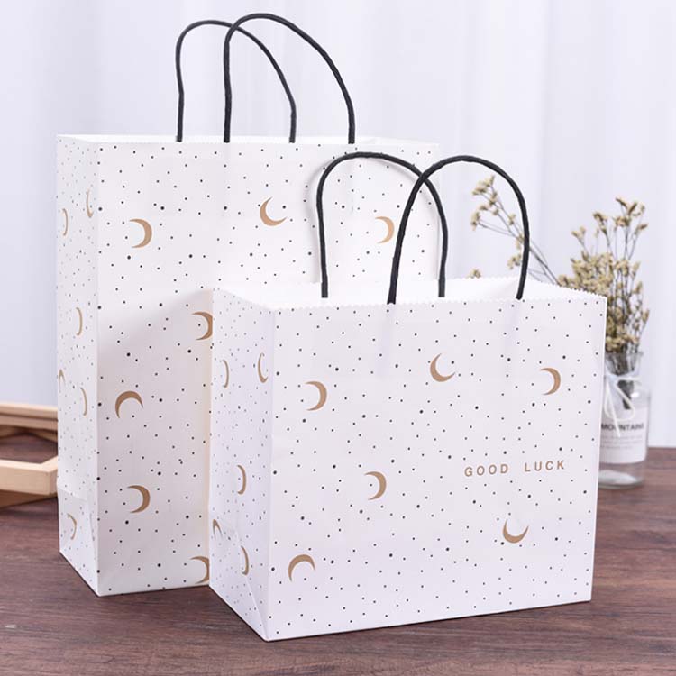 travel bolsa for chargers and cables