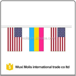 Pansexual Arco Iris LGBT y Los Estados Unidos de América de La Amistad Cuerda de Poliéster Bandera Bunting - Product Image 1