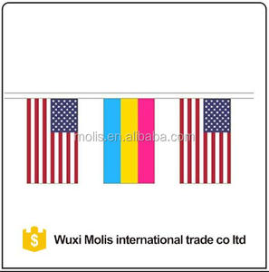 Pansexual rainbow LGBT and the United States America de La Amistad thread cord polyester Flag Bunting - Product Image 1