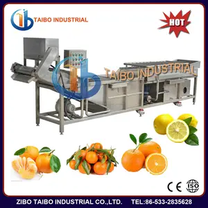 Cпециальная стиральная машина для апельсинов , лимонов и других фруктов в грячеем продаже