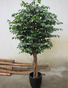 <span class=keywords><strong>Vendita</strong></span> calda giardino interno del faux <span class=keywords><strong>piante</strong></span> in vaso verde artificiale bonsai ficus alberi - Product Image 4
