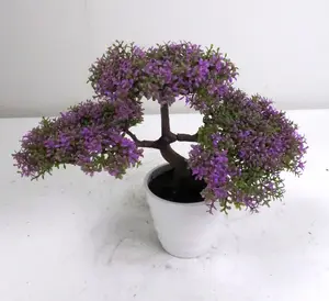 Bonsai artificial podocarpus, árvore de baixo custo de alta qualidade para decoração de mesa, mini planta para exterior e interior, para bonsai