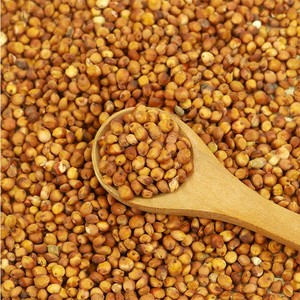 Tatlı kırmızı sorgum - Product Image 2