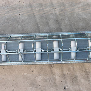 Giống chuỗi gà gà tấm mở máng ăn - Product Image 4