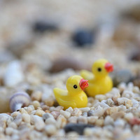 Petit canard jaune en plastique pour décoration de jardin, décoration de jardin chinois, décoration de maison et de jardin