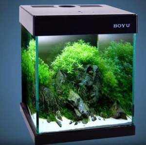 Boyu alta calidad al por mayor cleair acuáticos acuario peces Betta Tailandia Tanque de vidrio - Product Image 1