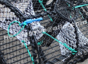 Pièges <span class=keywords><strong>à</strong></span> homard, piège <span class=keywords><strong>à</strong></span> crabes, pièges <span class=keywords><strong>à</strong></span> <span class=keywords><strong>écrevisse</strong></span>s <span class=keywords><strong>à</strong></span> vendre - Product Image 4