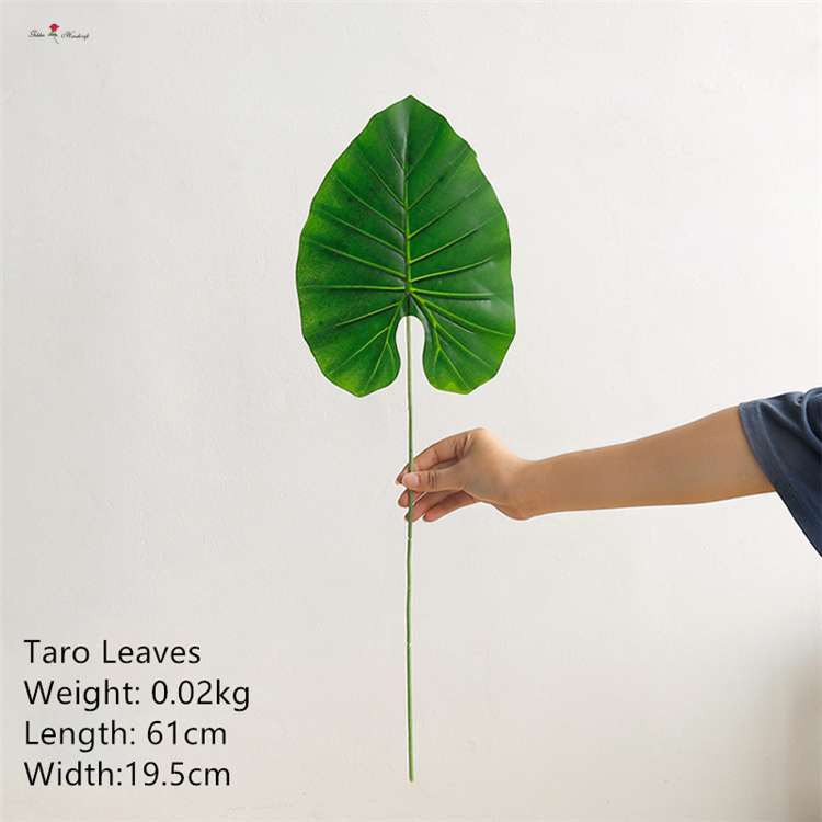 Wild Taro Leaves