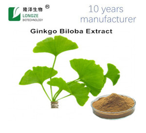 Chất lượng cao 100% nước hòa tan hoang dã Ginkgo Biloba trái cây chiết xuất bột <span class=keywords><strong>hplc</strong></span> chứng nhận trống bao bì Top Grade - Product Image 3
