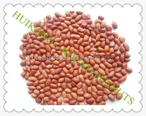 unblanched peanuts 24/28 28/32 40/50 50/60