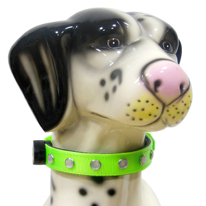 Grenouillère lumineuse led en TPU, collier de chien, fournitures pour animaux de compagnie - Product Image 3