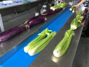 सुपरमार्केट इलेक्ट्रिक मोटर संचालित ताजा सब्जी लेट्यूस एगप्लांट पैकिंग मशीन प्लास्टिक फूड रैपिंग बैग सीलिंग प्रकार - Product Image 3