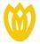 Hunan Baihua Ceramics Co., Ltd. logo