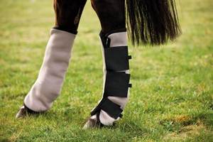 Bottes clochette, chaussures classiques, <span class=keywords><strong>Equine</strong></span>, sans tour - Product Image 6
