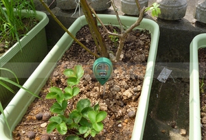Probador de suelo 3 en 1 con función de medidor de <span class=keywords><strong>PH</strong></span> y <span class=keywords><strong>sensor</strong></span> de luz de suelo para jardinería - Product Image 5